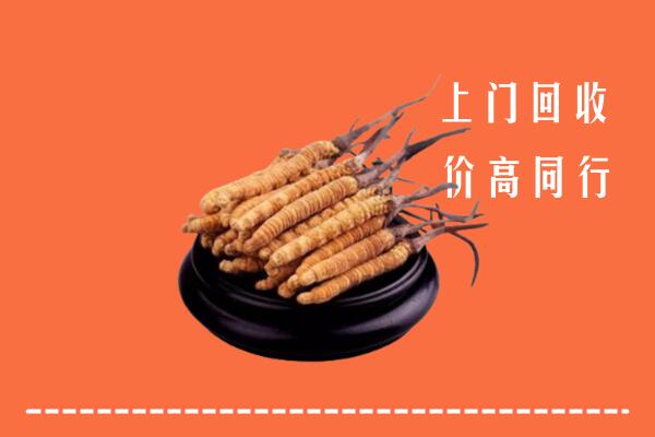 重庆市大渡口高价冬虫夏草回收多少钱每克