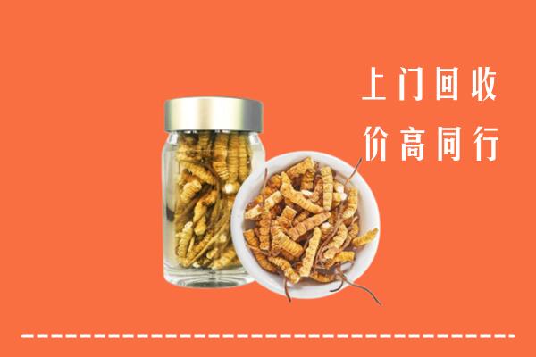 重庆市大渡口高价回收冬虫夏草