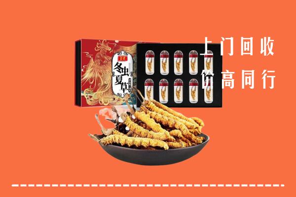 收购行情：重庆市大渡口回收虫草